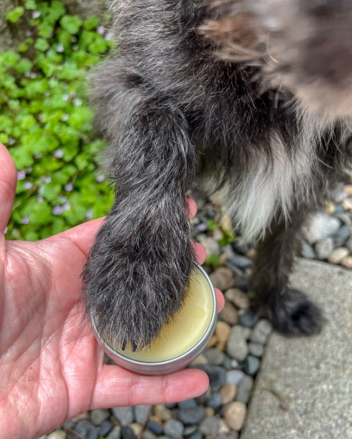 Paw & Palm